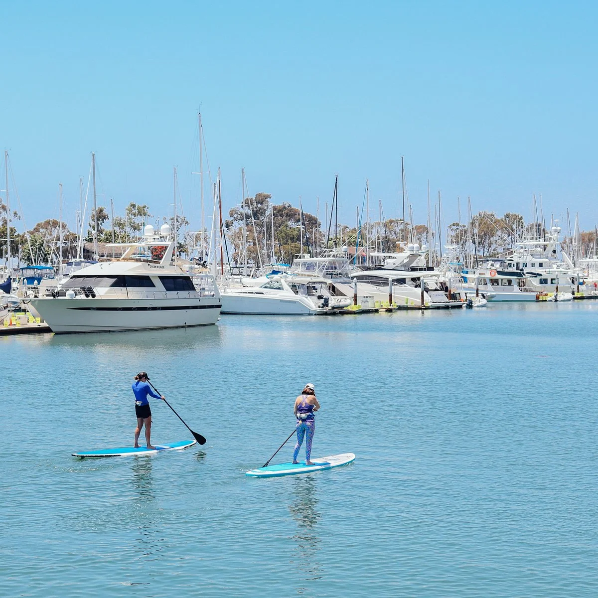 Dana Point Harbor