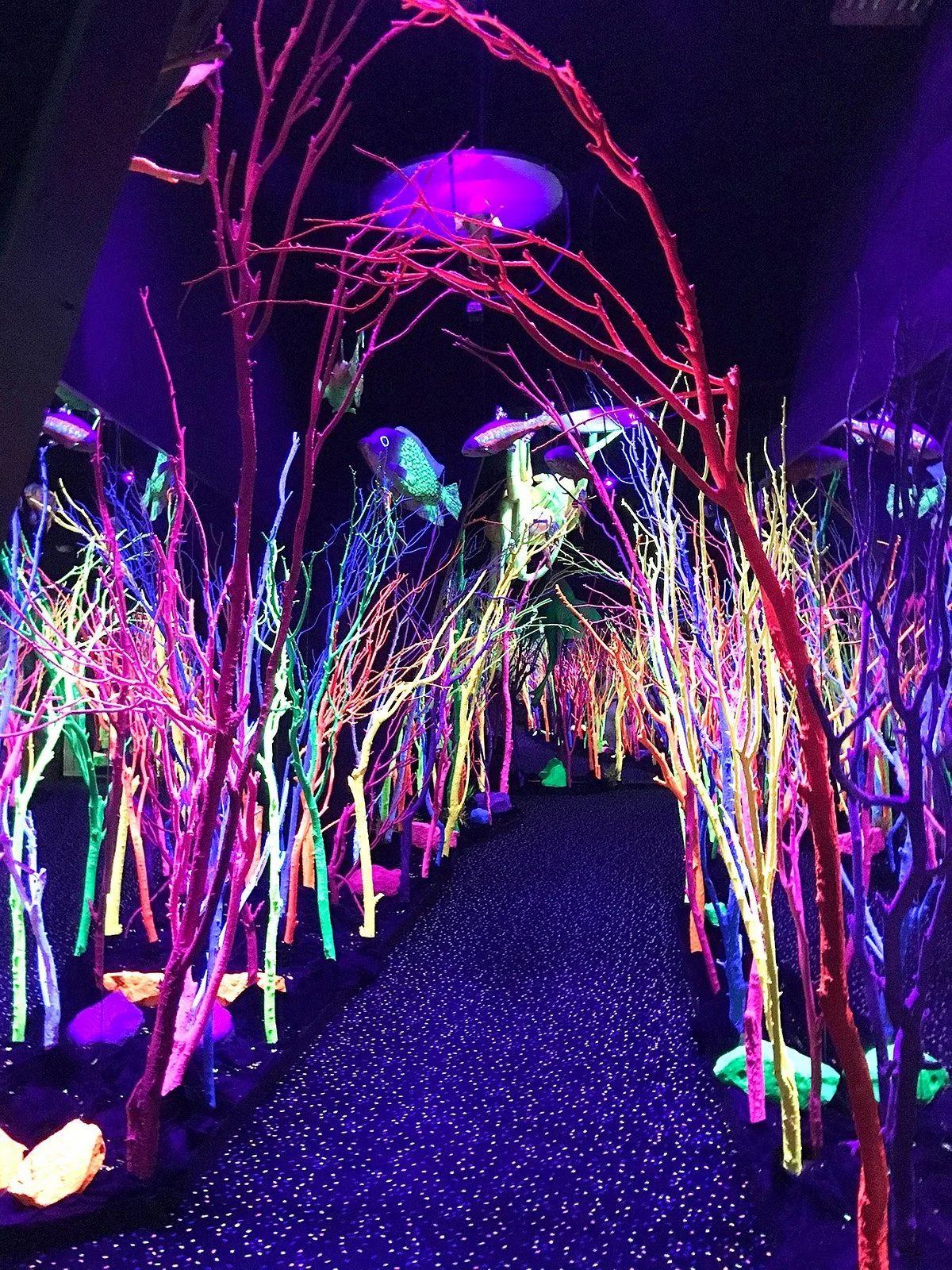 Meow Wolf Santa Fe