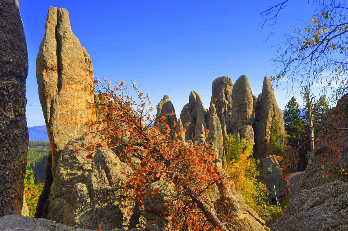 Needles Highway
