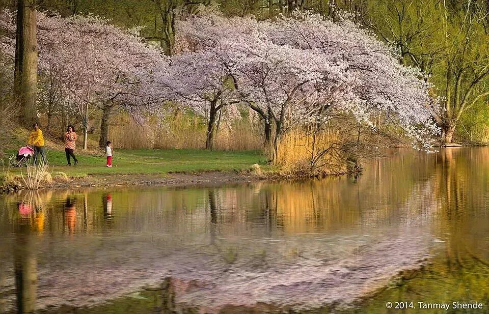 Branch Brook Park