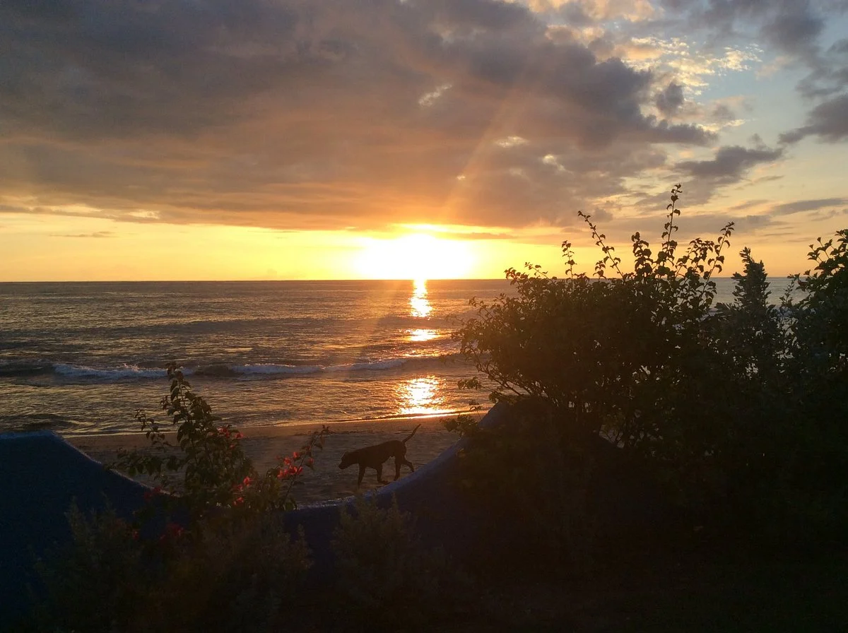 Treasure Beach