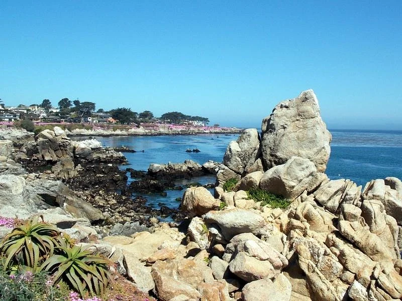 Monterey Bay