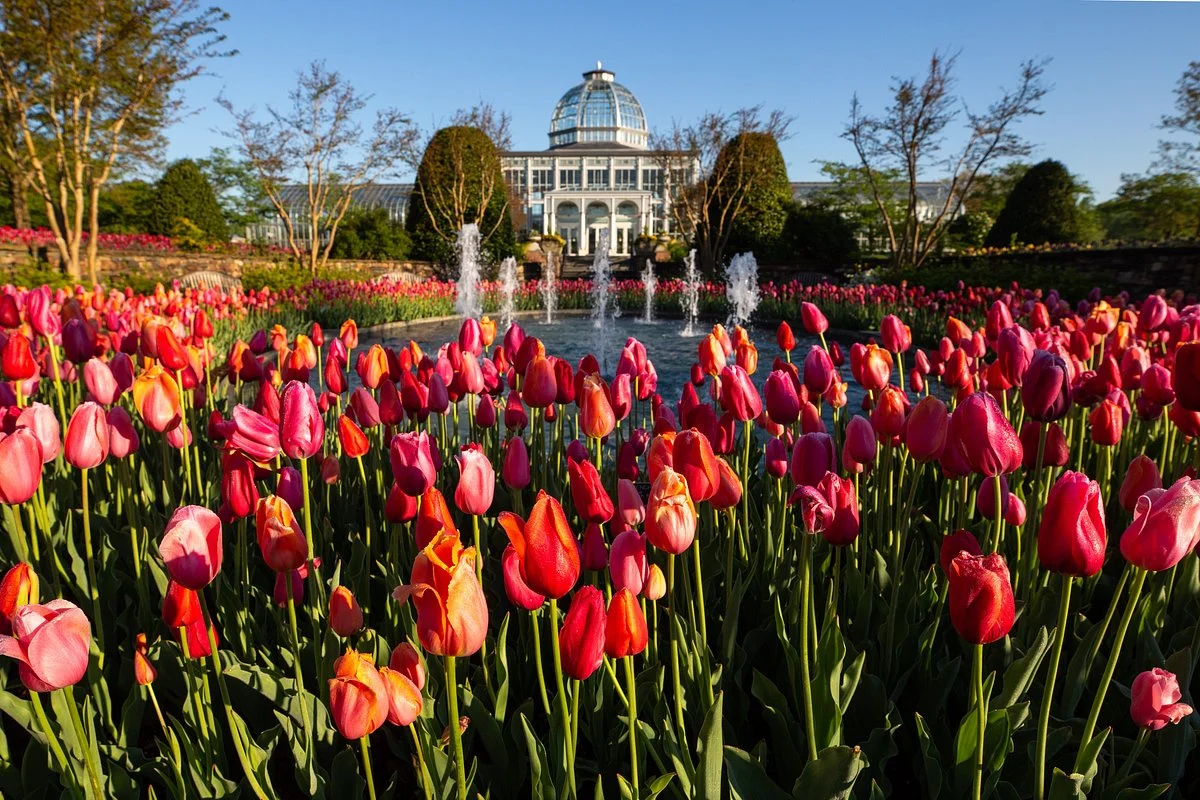 Lewis Ginter Botanical Garden