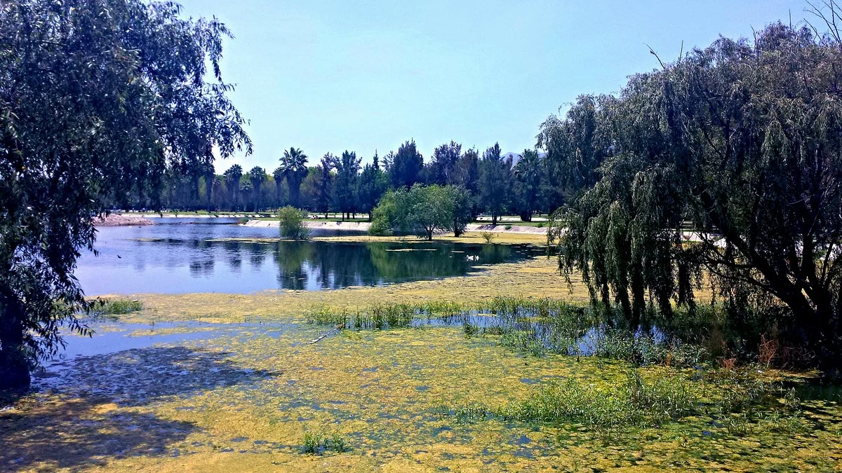 Parque Tangamanga