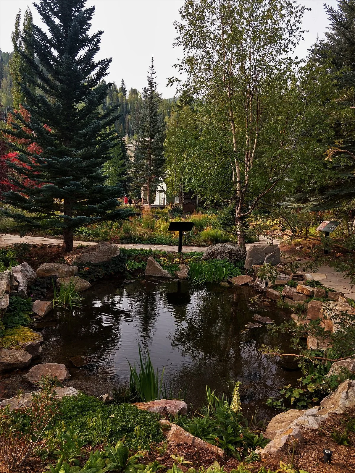 Betty Ford Alpine Gardens