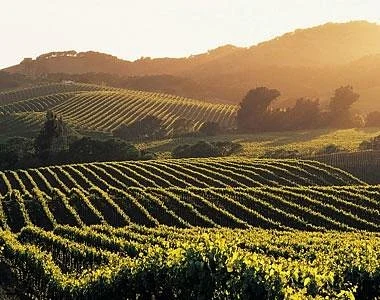 Sonoma Valley