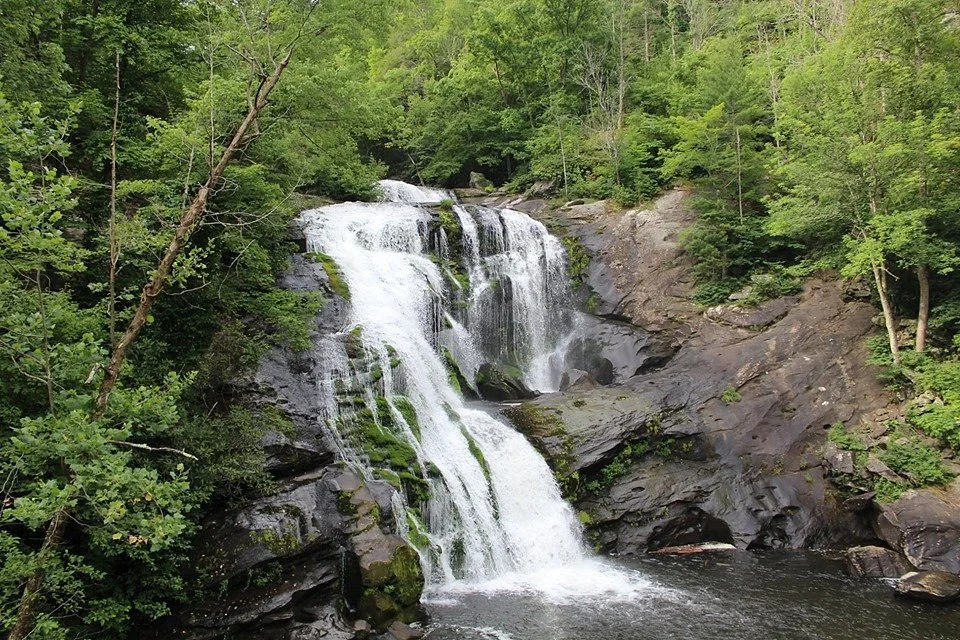 Cherokee National Forest