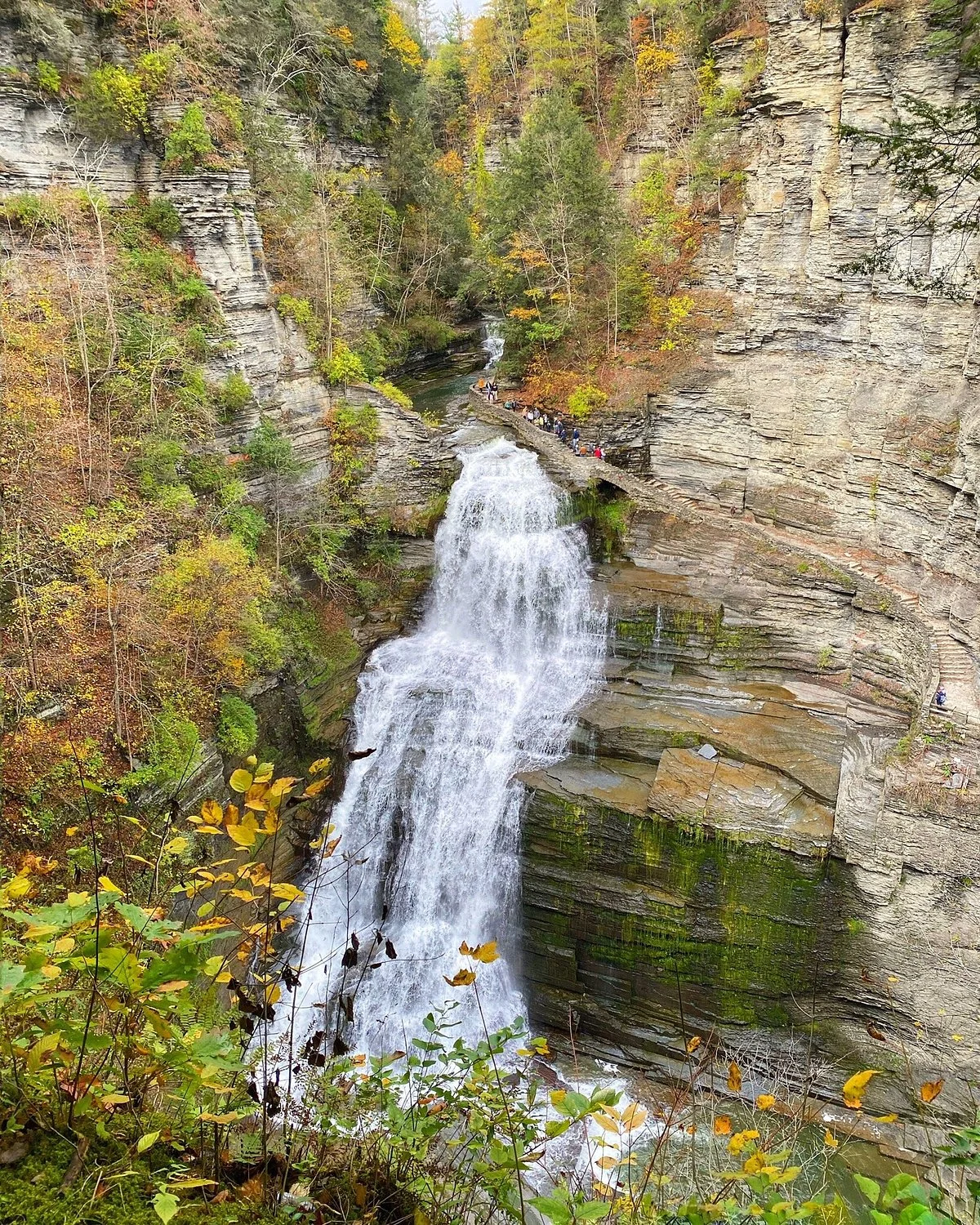 Robert Treman State Park