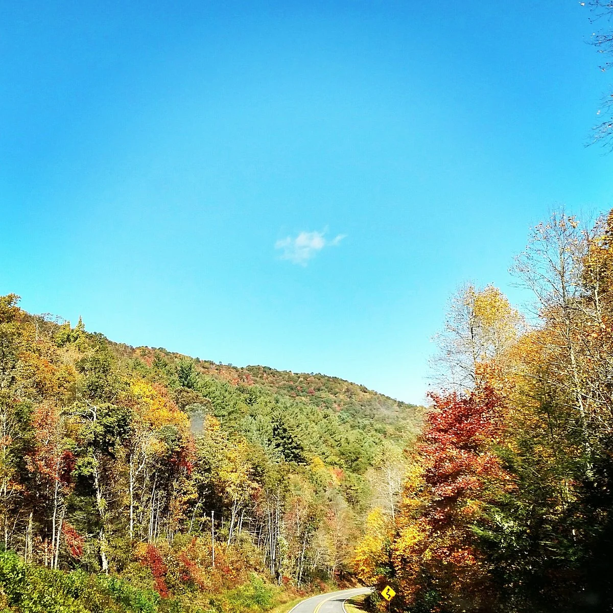 Russell-Brasstown National Scenic Byway