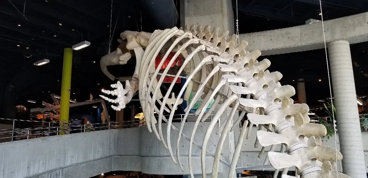 Science North