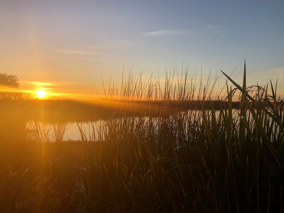 Creole Nature Trail