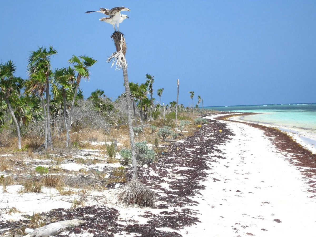 Inagua