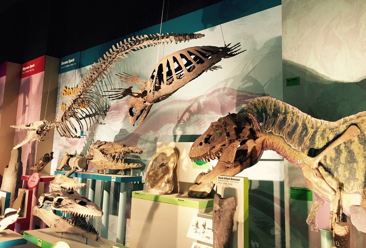 Mississippi Museum of Natural Science