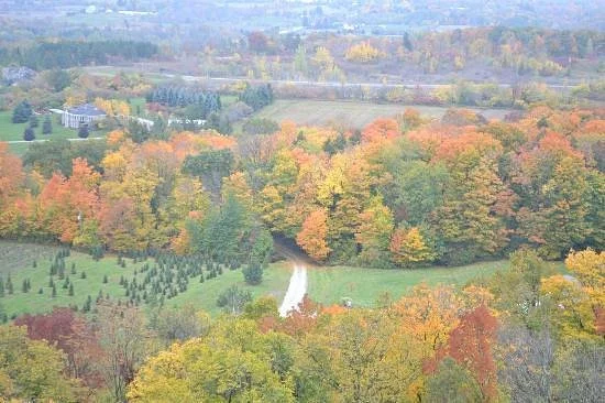Rattlesnake Point Conservation Area