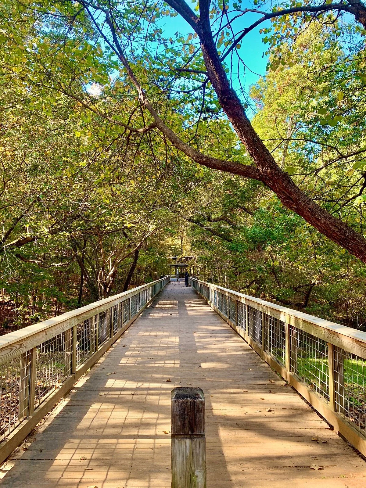 McDaniel Farm Park