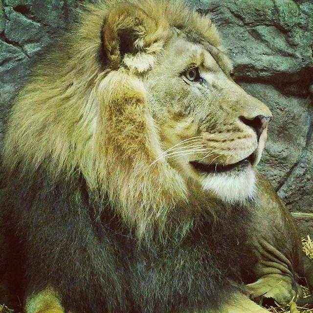 Potter Park Zoo