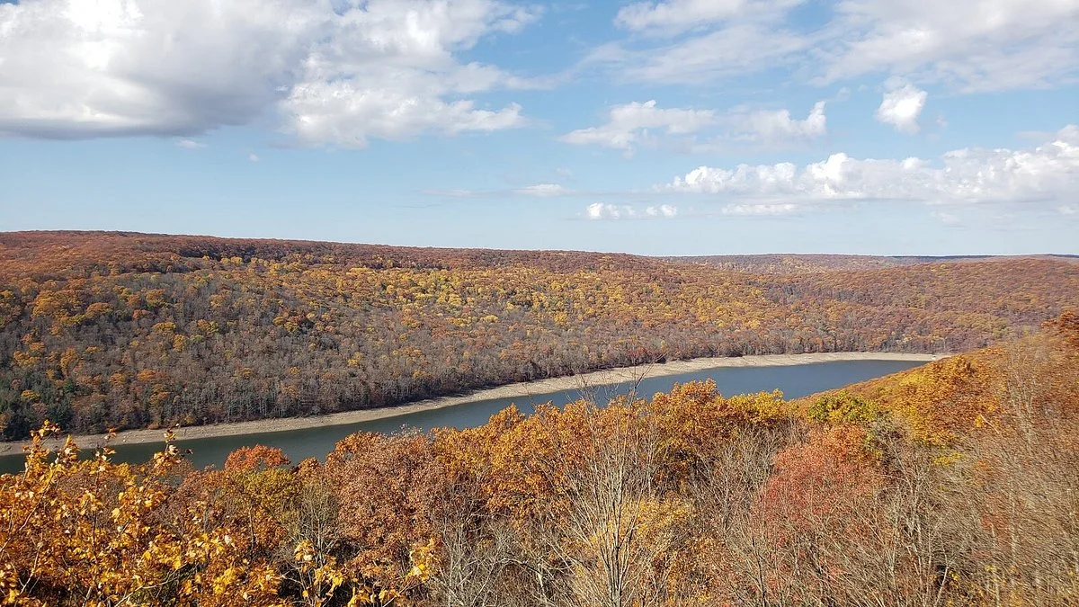 Allegheny National Forest