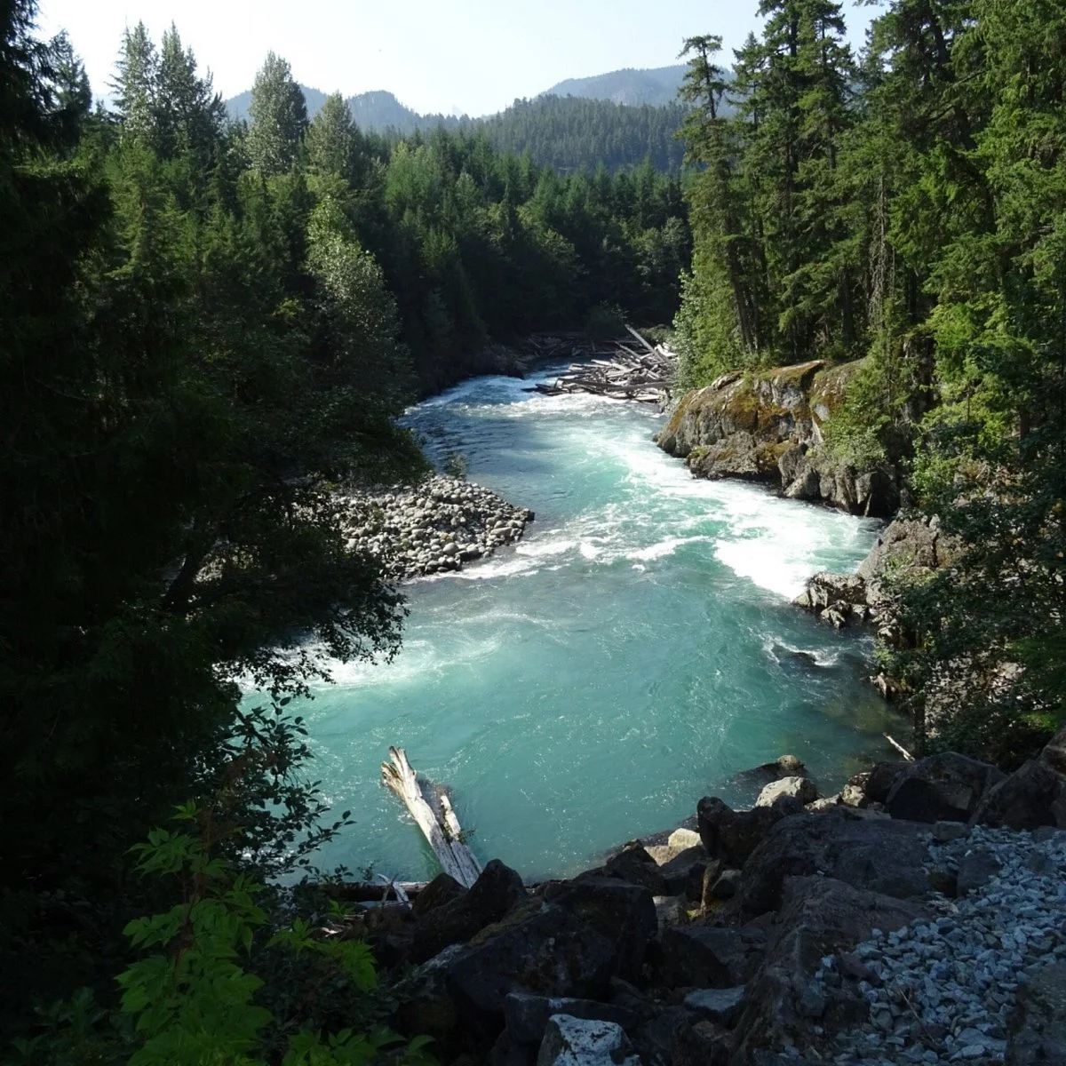 The Whistler Train Wreck Trail