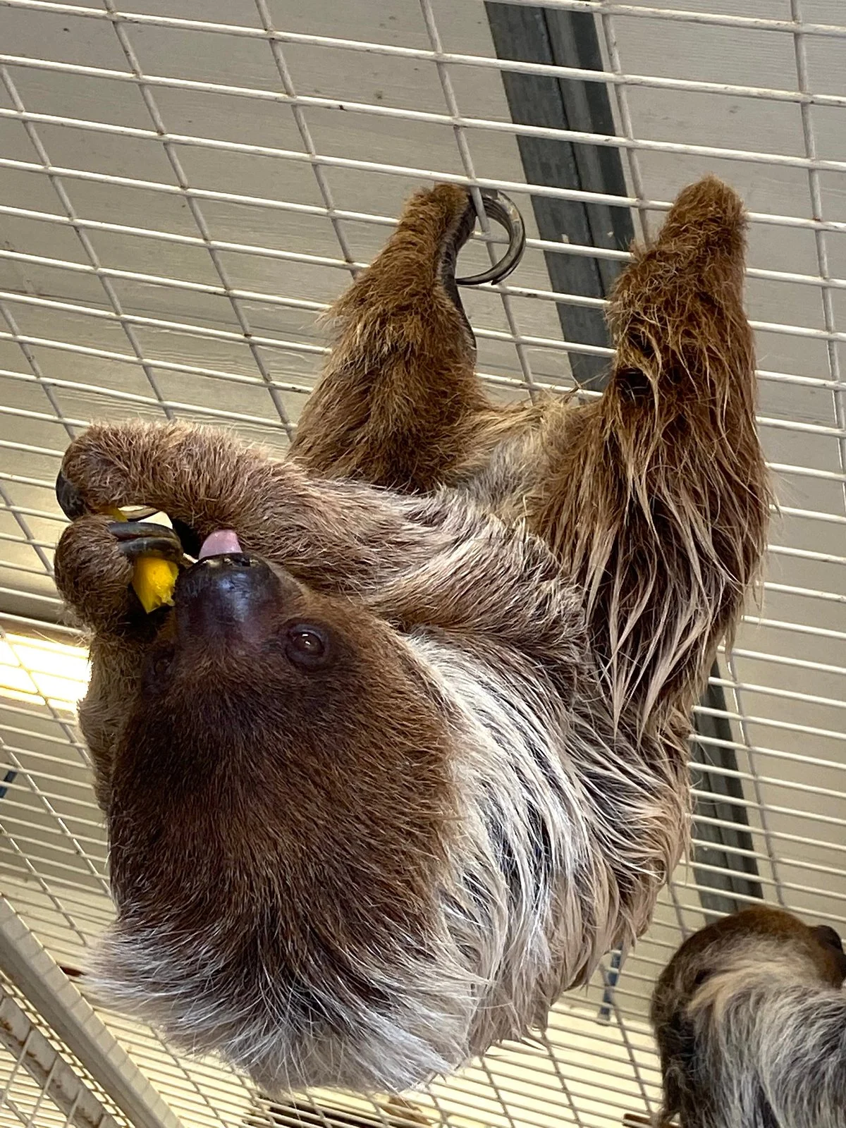 TGR Exotics Wildlife Park