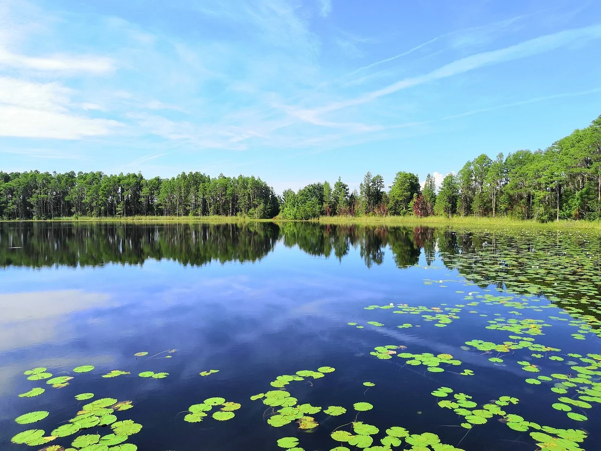 Lake Louisa State Park