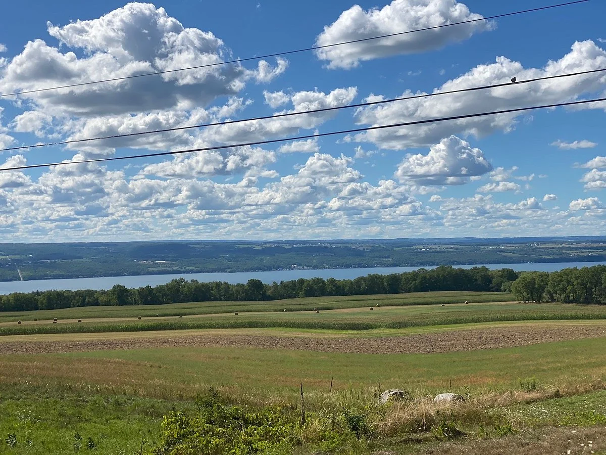 Finger Lakes National Forest