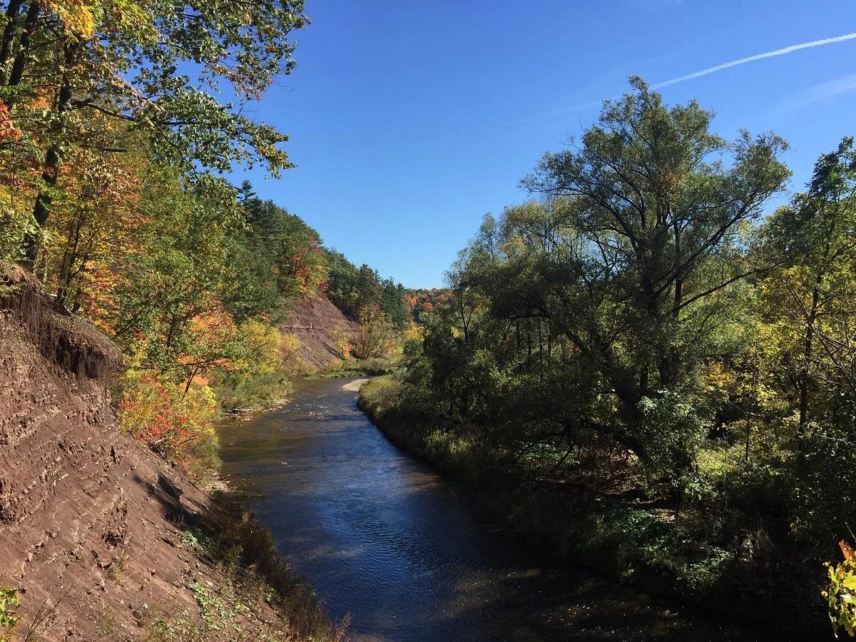 Lion's Valley Park