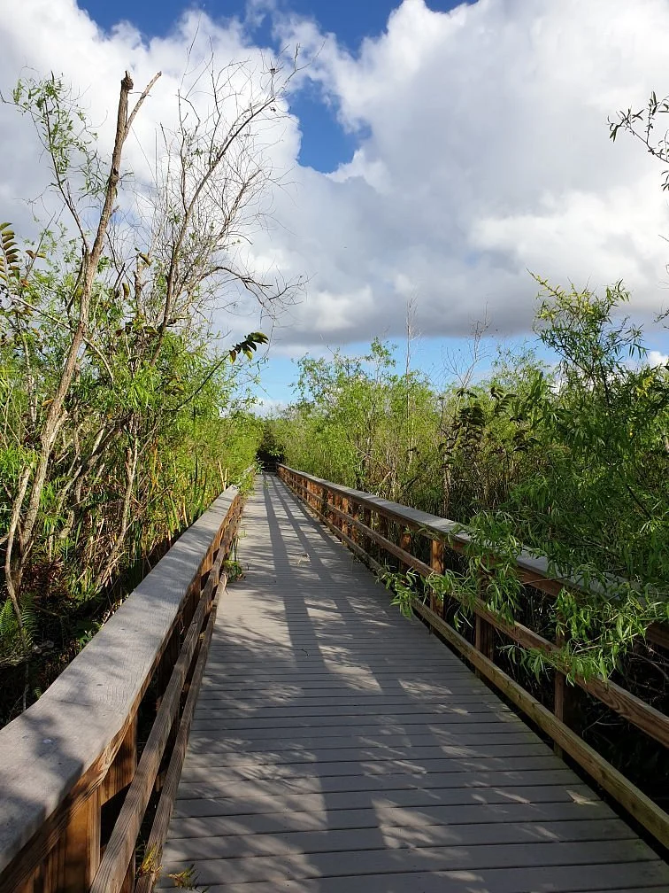 Tamiami Trail
