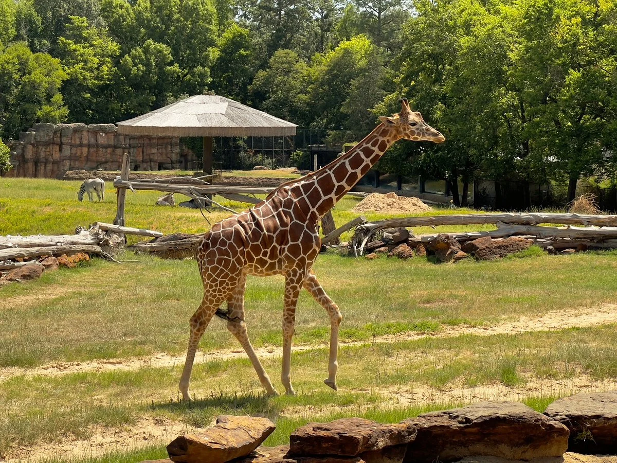 Caldwell Zoo