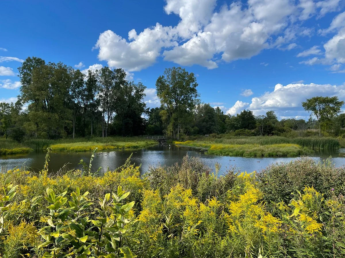 Matthaei Botanical Gardens