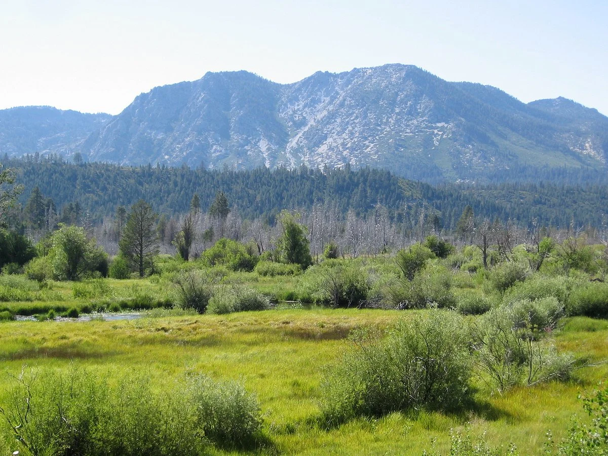 Taylor Creek Visitor Center