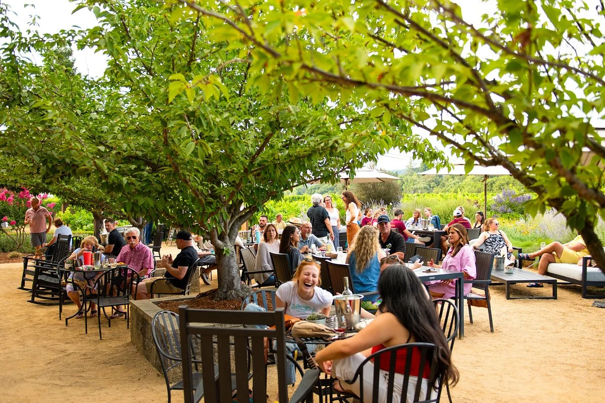 Dry Creek Vineyard