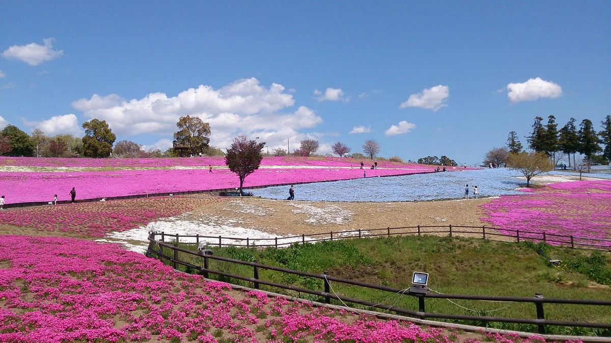 Ota City Hokubu Undo Park