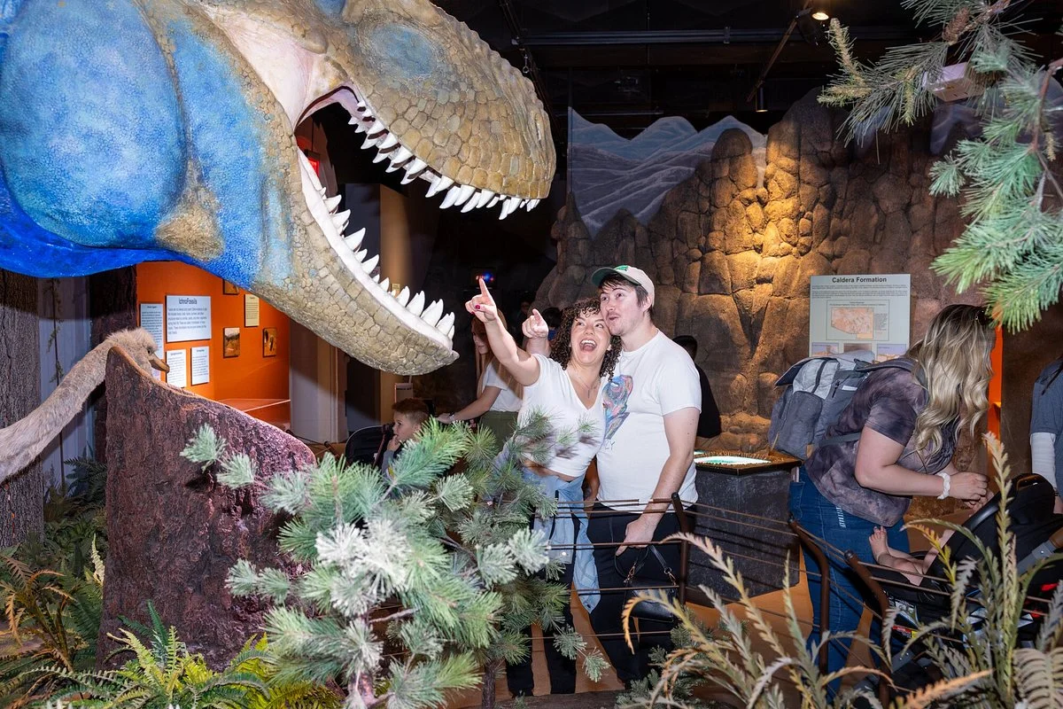 Arizona Museum of Natural History