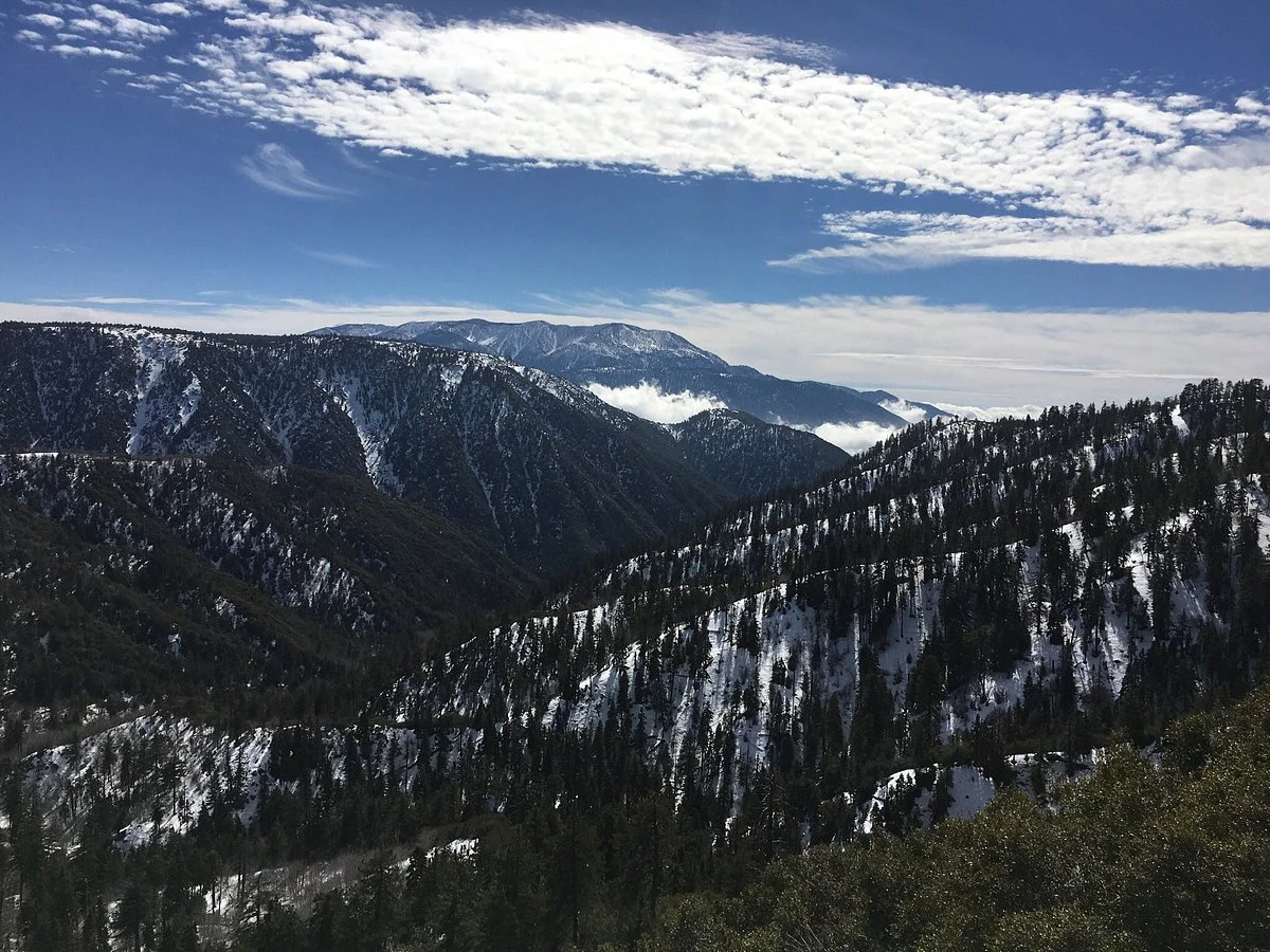 San Bernardino National Forest