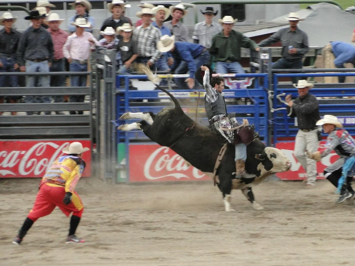 Jackson Hole Rodeo