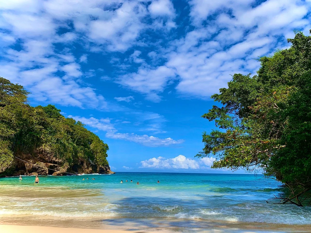 Frenchman's Cove
