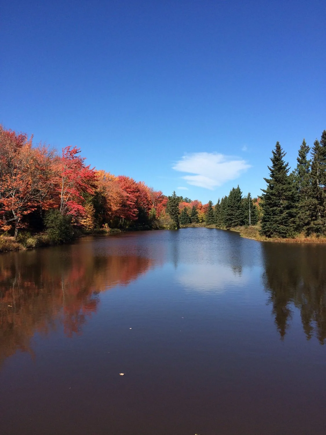 Centennial Park