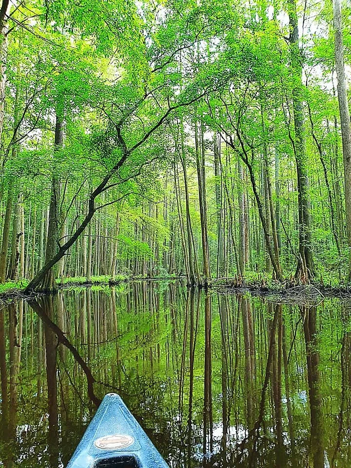 Trap Pond State Park