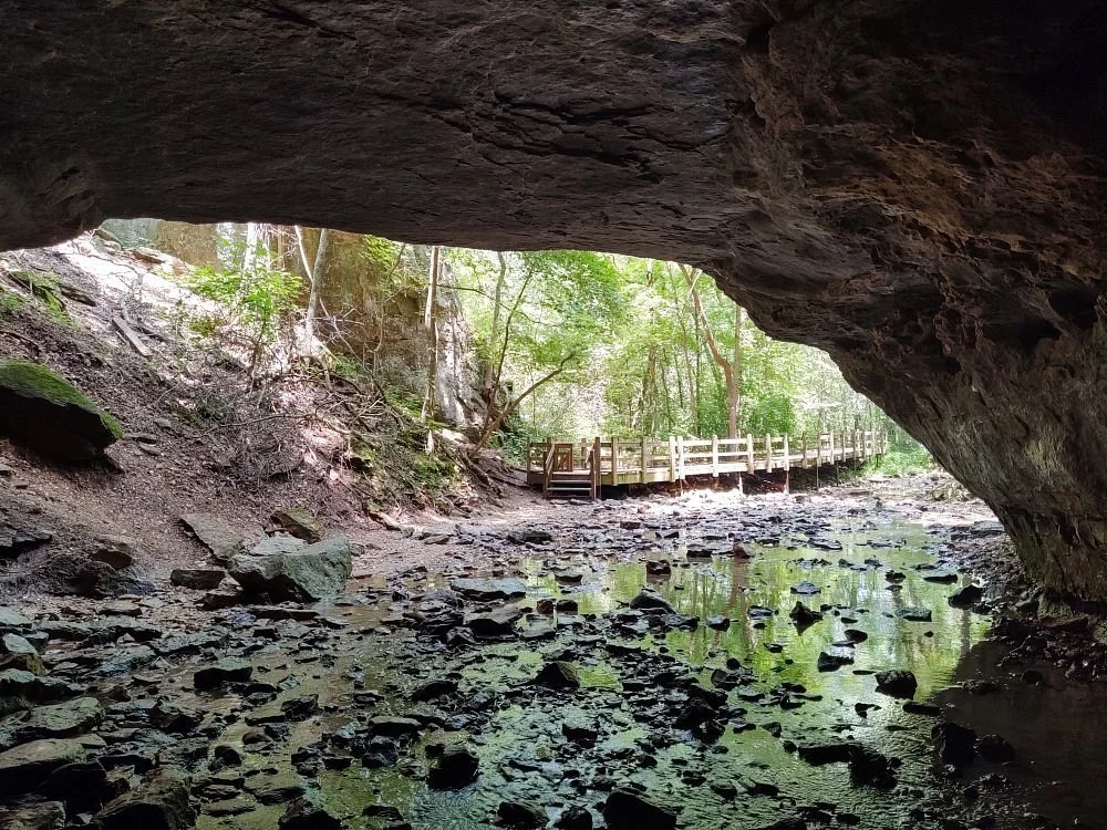 Rock Bridge Memorial State Park