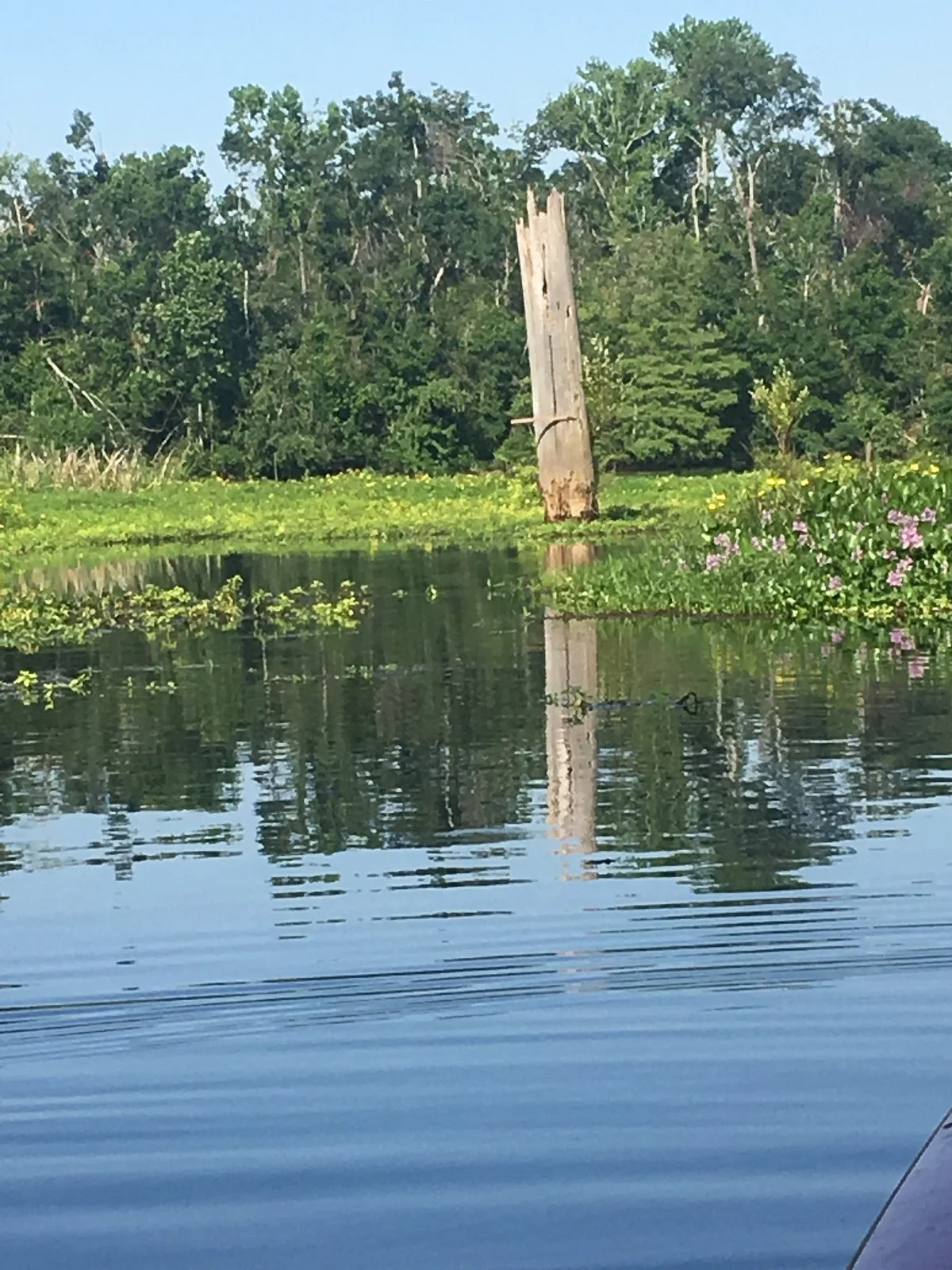 Flint River