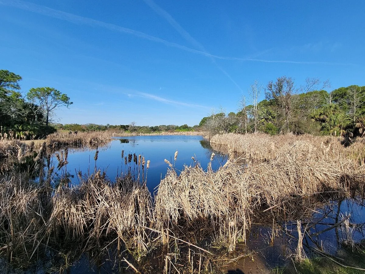 Pinckney Island National Wildlife Refuge
