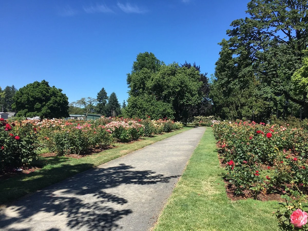 Willamette River bike trail