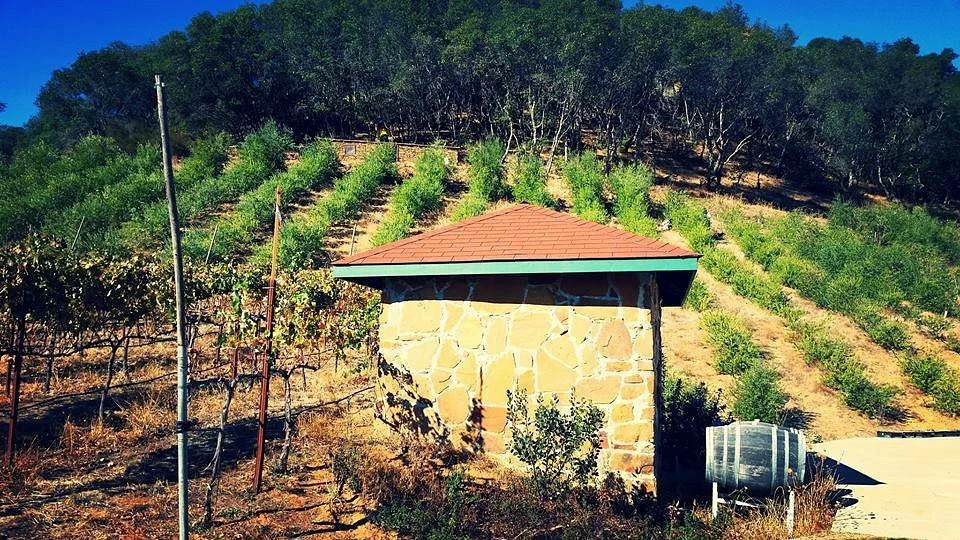 M.S Torun Winery