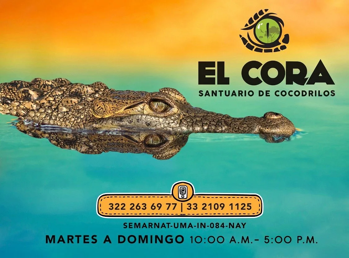 Santuario de Cocodrilos El Cora