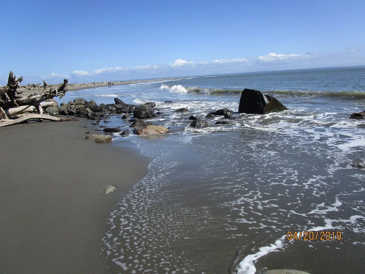 Damon Point