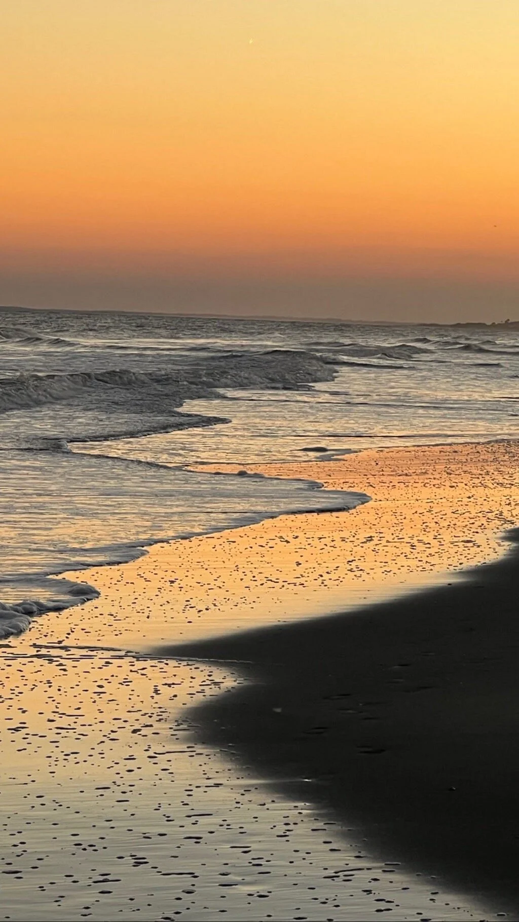 Isle of Palms County Park