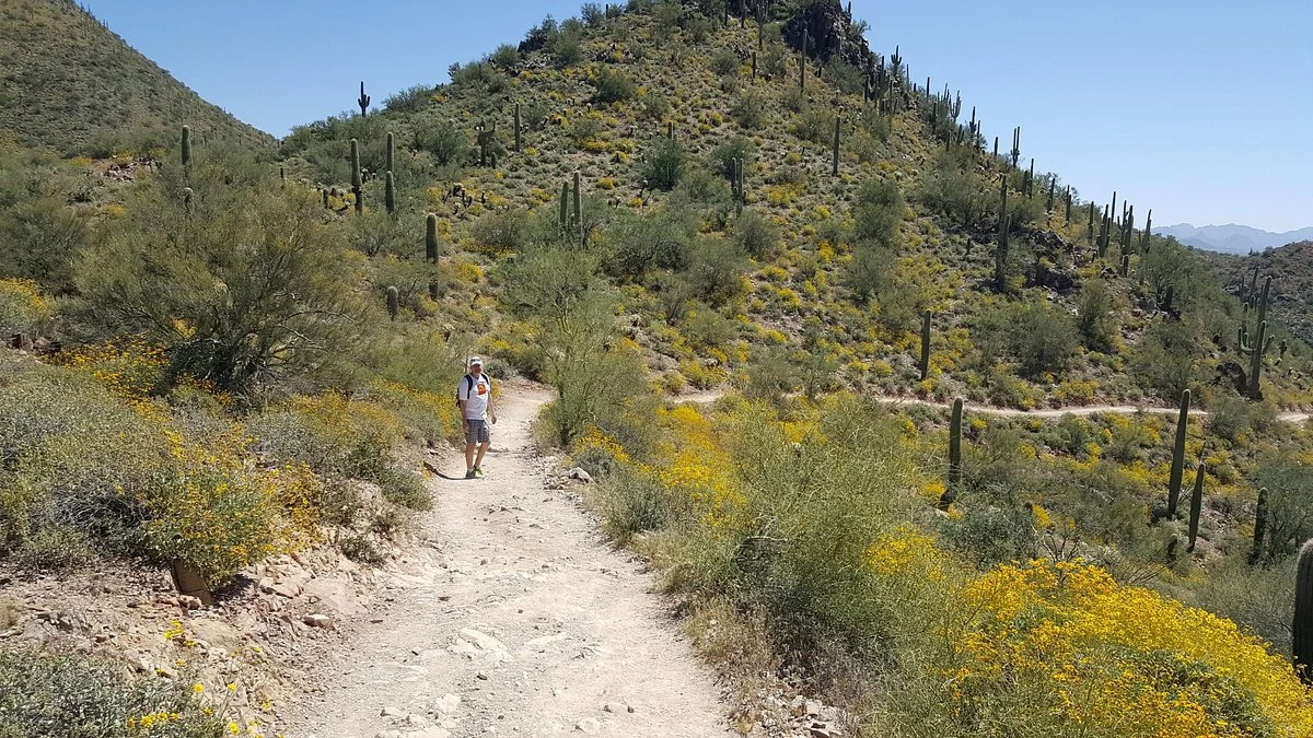 Cave Creek Regional Park