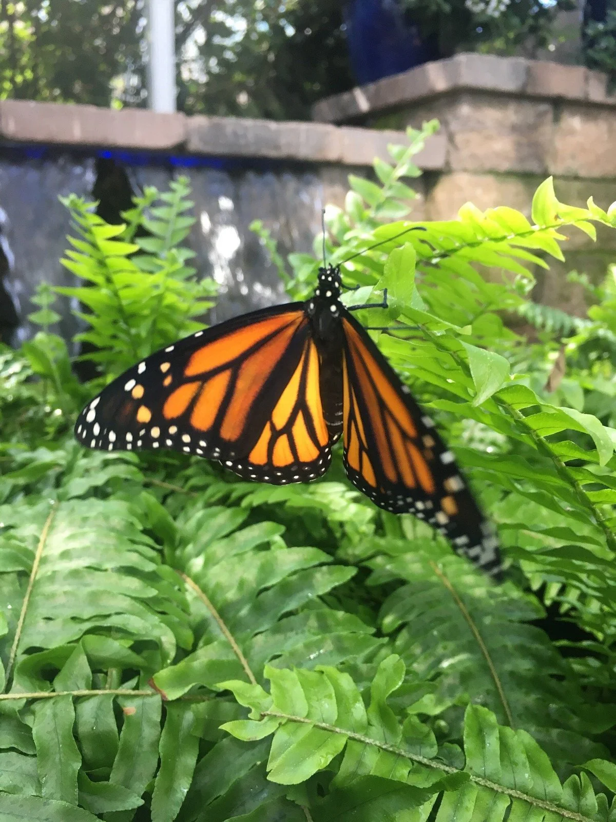 River Bend Nature Center