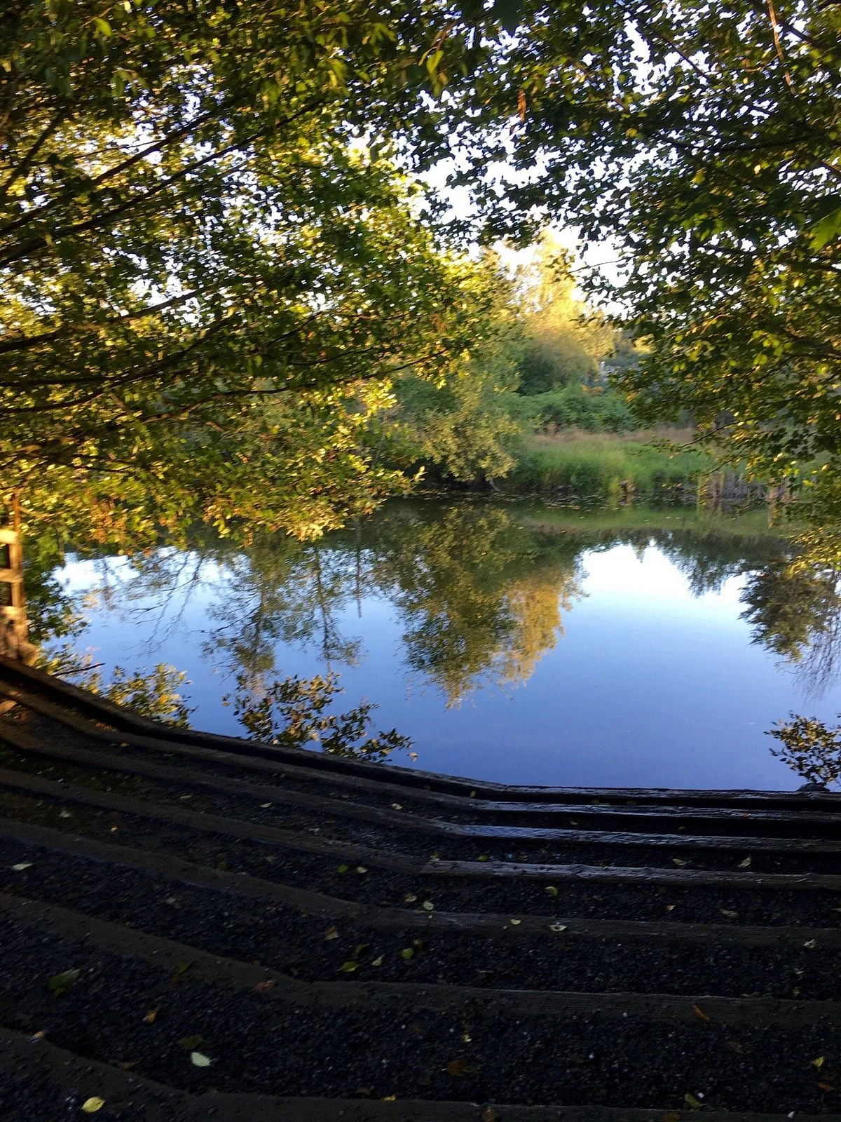 Marymoor Park