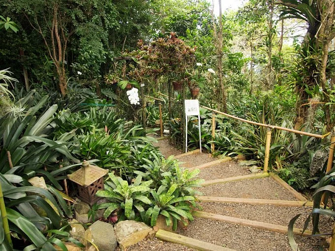 Phantasea Tropical Botanical Garden